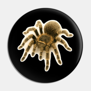 Curly Hair Tarantula Pin