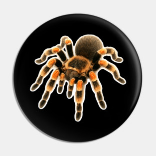 Mexican Red Knee Tarantula Pin