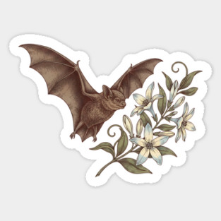 Vintage Little Brown Bat Night Blossoms Sticker