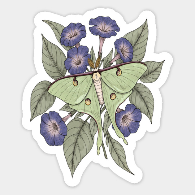 Luna Moth with Violet Botanical Blooms Magnet by BirdsnStuff