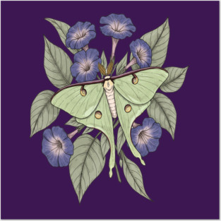 Luna Moth with Violet Botanical Blooms Posters and Art