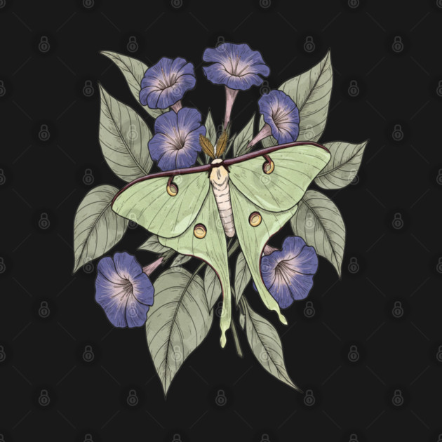 Luna Moth with Violet Botanical Blooms by BirdsnStuff