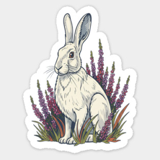Mountain Hare with Pale Heather Blooms Magnet