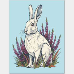 Mountain Hare with Pale Heather Blooms Posters and Art