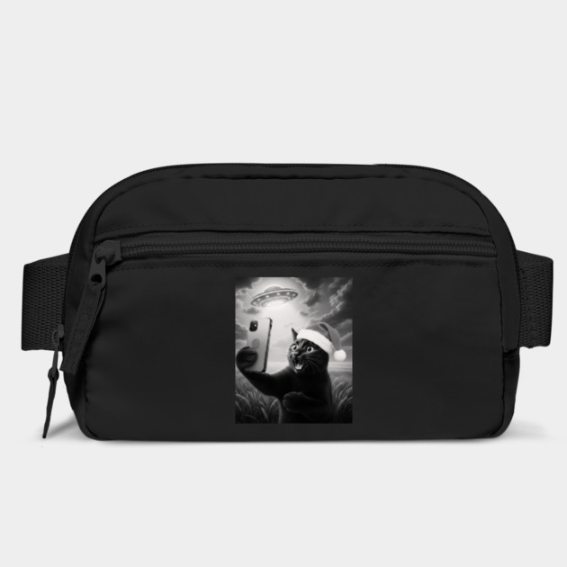 Christmas Cat UFO by CreativeSage