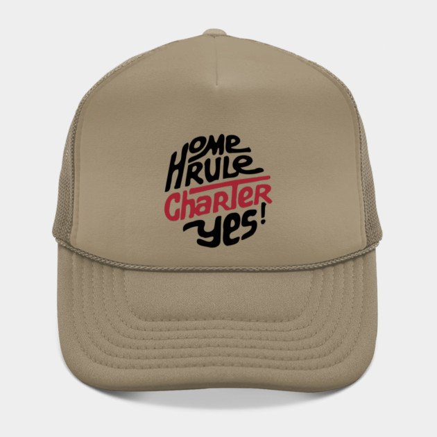 DC Home Rule Charter 1973 Retro Political Button by Yesteeyear