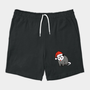 Christmas Santa Possum in Hat – Cute Holiday Opossum Shorts