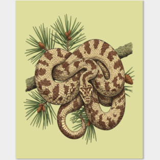 Northern Pine Snake with Longleaf Branches Posters and Art