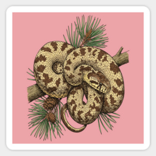Northern Pine Snake with Longleaf Branches Magnet
