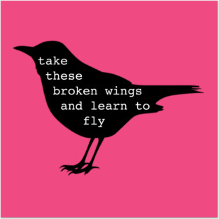 The beatles Posters and Art