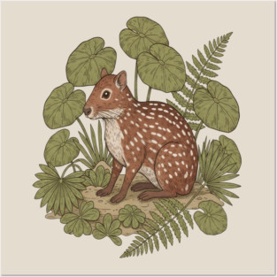 Paca with Ferns and Tropical Ground Leaves Posters and Art