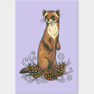 Pine Marten with Fallen Forest Cones Posters and Art