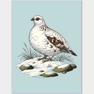 Ptarmigan on Snowy Ground with Winter Grass Posters and Art
