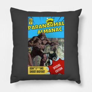 special edition! Pillow