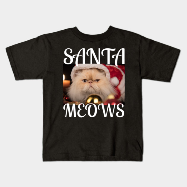 Santa Meows Kids T-Shirt by Demian Stipatio