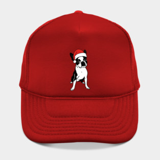 Christmas Santa Boston Terrier Dog With Hat Hat