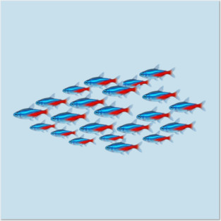 Neon Tetra School – Colorful Tropical Aquarium Fish Art Posters and Art