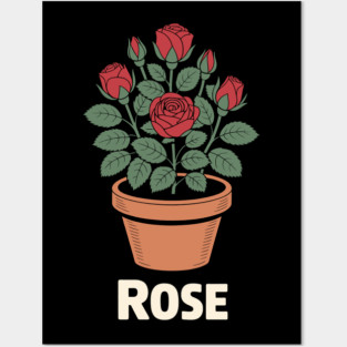 Rose in a pot Posters and Art