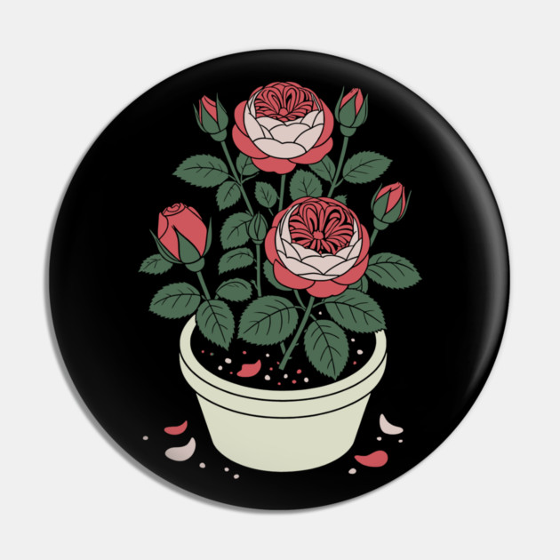 Rose plant in a pot Pin by CreativeSage