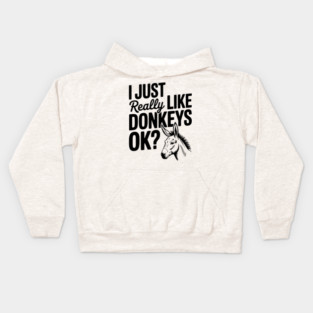 I Just Really Like Donkeys Ok? Kids Hoodie