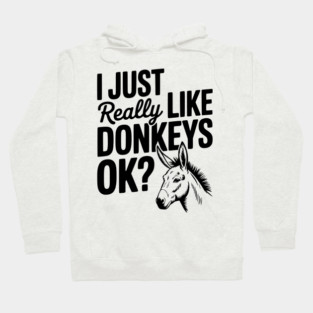 I Just Really Like Donkeys Ok? Hoodie