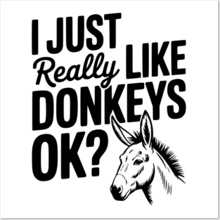 I Just Really Like Donkeys Ok? Posters and Art