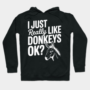 I Just Really Like Donkeys Ok? Hoodie