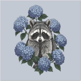 Vintage Raccoon with Blue Hydrangeas Posters and Art