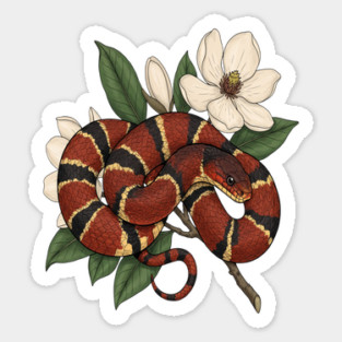 Vintage Scarlet Kingsnake with Magnolias Sticker