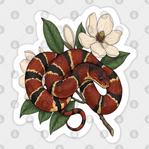 Vintage Scarlet Kingsnake with Magnolias Sticker by BirdsnStuff