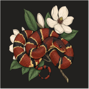 Vintage Scarlet Kingsnake with Magnolias Posters and Art
