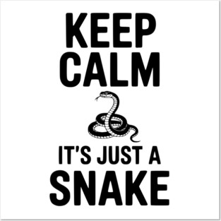 Keep Calm It's Just a Snake Posters and Art