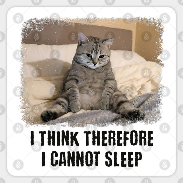 Funny Cat: I Think Therefore I Cannot Sleep Sticker by Luxinda