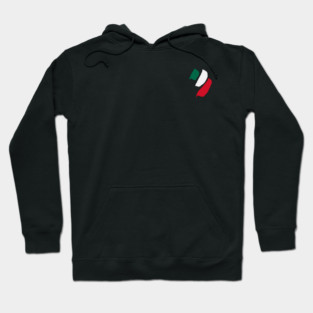 Mexican Flag - LOGO / Brush Strokes Hoodie