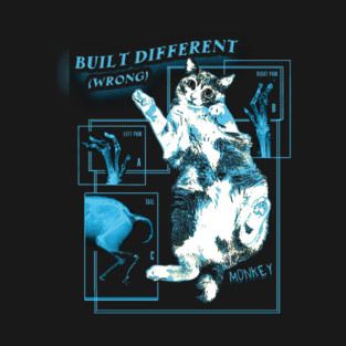 Built Different (wrong) Monkey Cat Collaboration with @oreoeocat