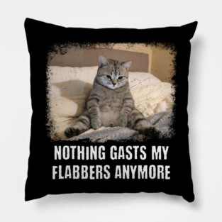 Funny Tired Cat: Nothing Gasts My Flabbers Anymore. Funny wordplay with Flabbergasted Pillow