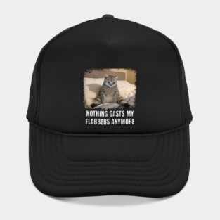 Funny Tired Cat: Nothing Gasts My Flabbers Anymore. Funny wordplay with Flabbergasted Hat