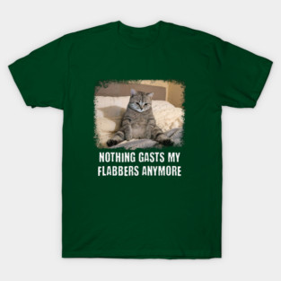 Funny Tired Cat: Nothing Gasts My Flabbers Anymore. Funny wordplay with Flabbergasted T-Shirt