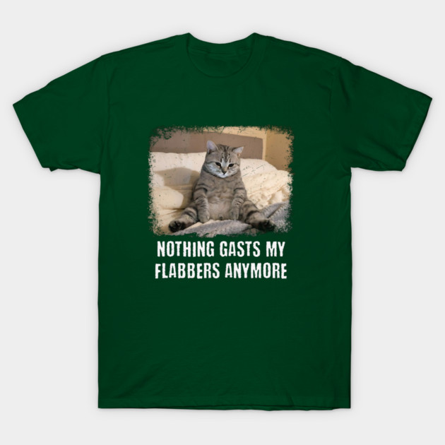 Funny Tired Cat: Nothing Gasts My Flabbers Anymore. Funny wordplay with Flabbergasted T-Shirt by Luxinda