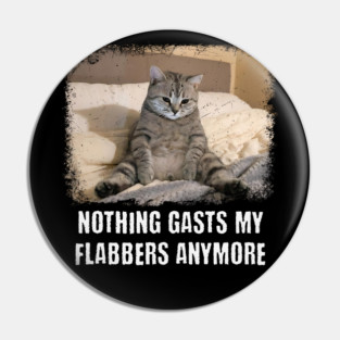 Funny Tired Cat: Nothing Gasts My Flabbers Anymore. Funny wordplay with Flabbergasted Pin