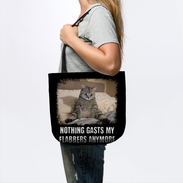 Funny Tired Cat: Nothing Gasts My Flabbers Anymore. Funny wordplay with Flabbergasted by Luxinda