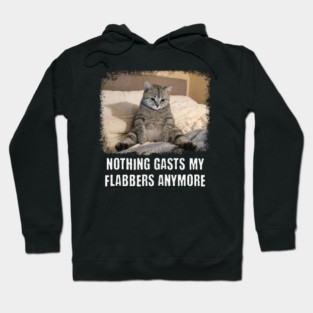 Funny Tired Cat: Nothing Gasts My Flabbers Anymore. Funny wordplay with Flabbergasted Hoodie
