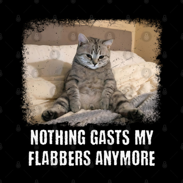 Funny Tired Cat: Nothing Gasts My Flabbers Anymore. Funny wordplay with Flabbergasted by Luxinda