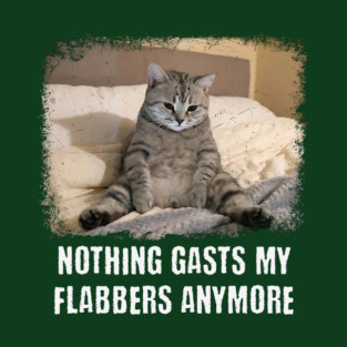 Funny Tired Cat: Nothing Gasts My Flabbers Anymore. Funny wordplay with Flabbergasted T-Shirt