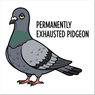 Permanently Exhausted Pidgeon Posters and Art
