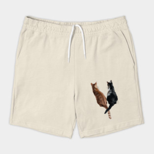 More Meow Mix, Bitches. Shorts