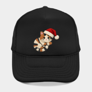 Cozy Faux Yarn Christmas Cat with Santa Hat Hat