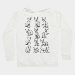 Sphynx Cat Studies Tee vintage engraving grid, cat lover gift, crittercore cottagecore, dark academia museum core sketchbook graphic Hoodie