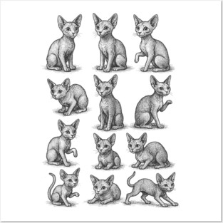 Sphynx Cat Studies Tee vintage engraving grid, cat lover gift, crittercore cottagecore, dark academia museum core sketchbook graphic Posters and Art