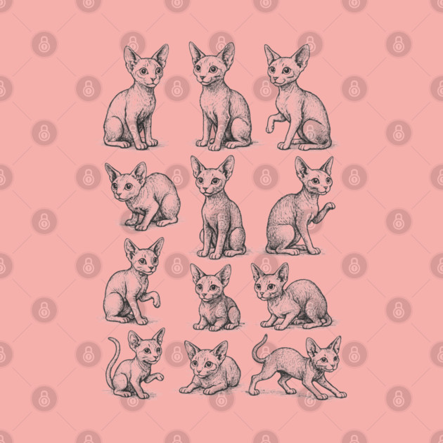 Sphynx Cat Studies Tee vintage engraving grid, cat lover gift, crittercore cottagecore, dark academia museum core sketchbook graphic by Tabryant